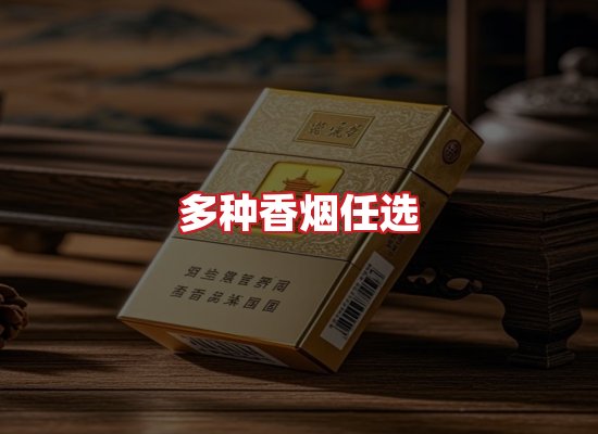 专业团队